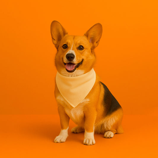 Custom bandana